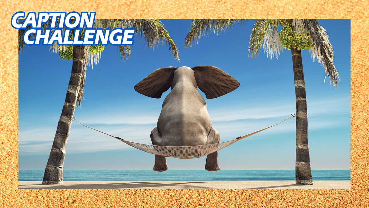 Caption Challenge Summer Vacation image number 3